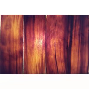 Buffalo Horn Optical Plate (MEDIUM BROWN)