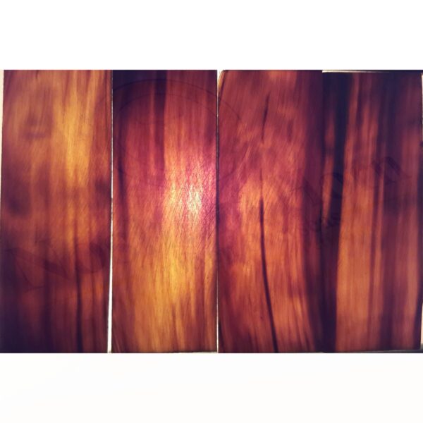 Buffalo Horn Optical Plate (MEDIUM BROWN)