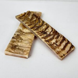 Ram Horn Scale – Natural Material for Knife Handles & Custom Crafting