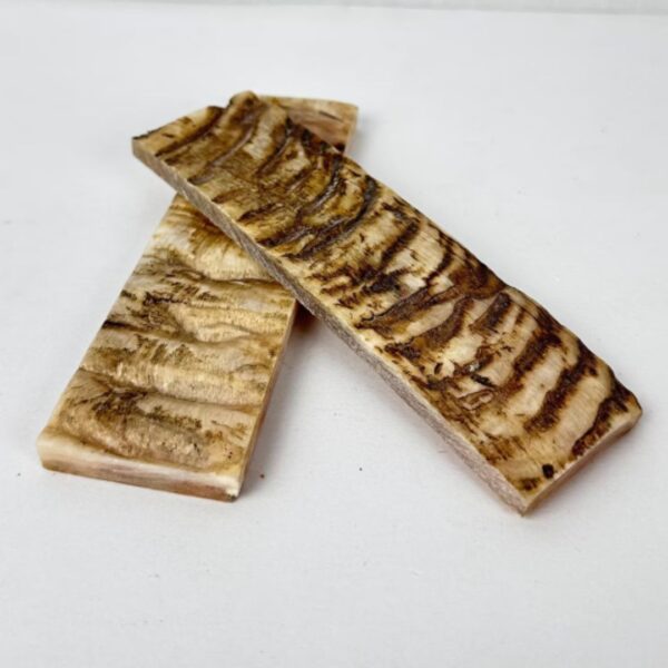 Ram Horn Scale – Natural Material for Knife Handles & Custom Crafting