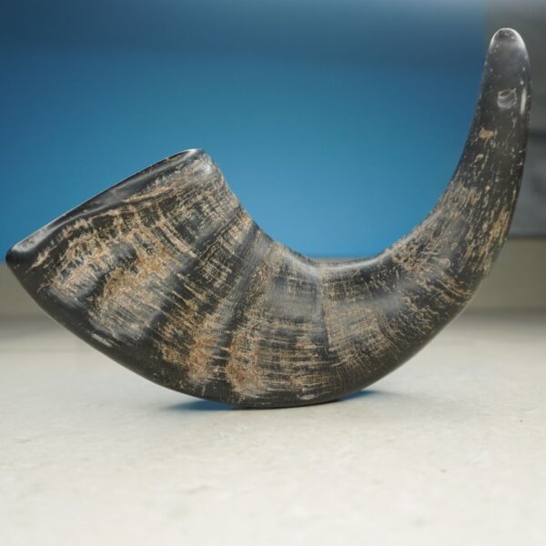 Natural Buffalo Horn Dog Chew – Long-Lasting & Healthy Treat for Dogs - Image 10