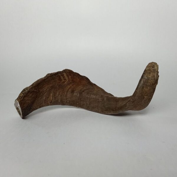 Natural Goat Horn – Healthy & Long-Lasting Dog Chew Treat - Image 4