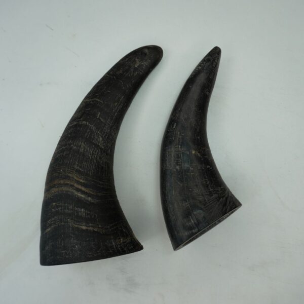 Natural Buffalo Horn Dog Chew – Long-Lasting & Healthy Treat for Dogs - Image 17