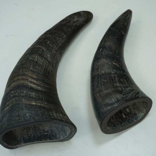 Natural Buffalo Horn Dog Chew – Long-Lasting & Healthy Treat for Dogs - Image 19