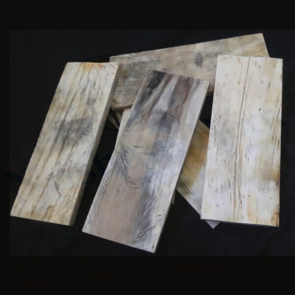 Horn Optical Plate (AFRICAN WHITE) - Image 3