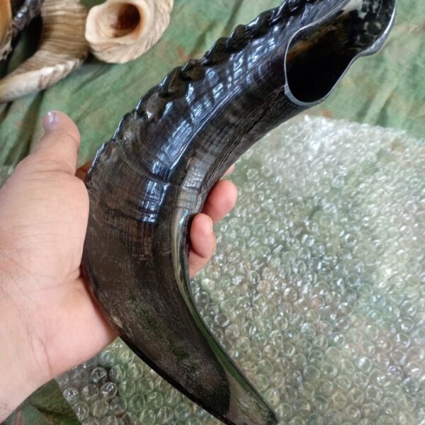 Ram Horn Shofar – Traditional Handmade Shofar for Ceremonial Use - Image 5
