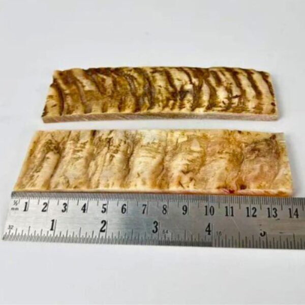 Ram Horn Scale – Natural Material for Knife Handles & Custom Crafting - Image 2