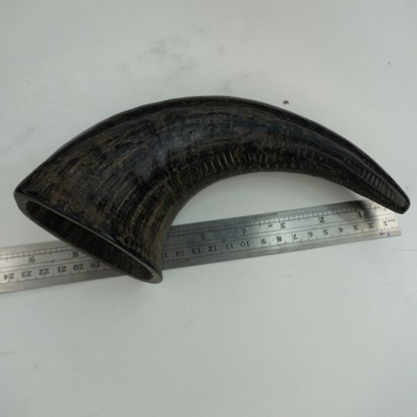 Natural Buffalo Horn Dog Chew – Long-Lasting & Healthy Treat for Dogs - Image 3
