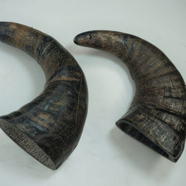 Natural Buffalo Horn Dog Chew – Long-Lasting & Healthy Treat for Dogs - Image 20