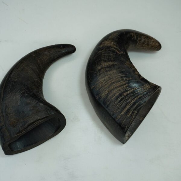 Natural Buffalo Horn Dog Chew – Long-Lasting & Healthy Treat for Dogs - Image 21