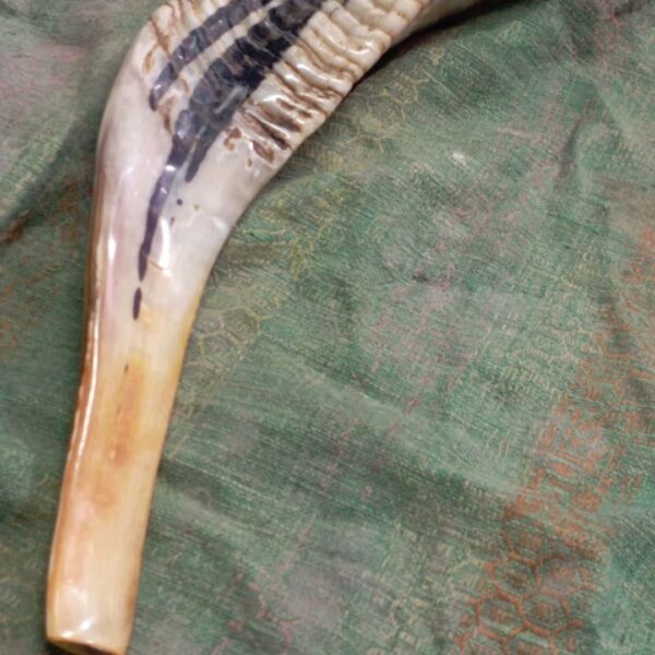 Ram Horn Shofar – Traditional Handmade Shofar for Ceremonial Use - Image 4
