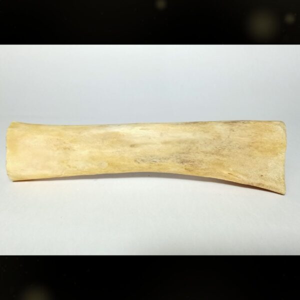 Natural Buffalo Bare Bone Dog Chews – Healthy Treats for Dogs - Image 3