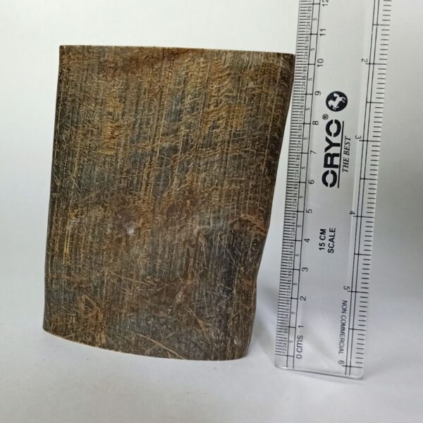 Buffalo Horn Tuffie Cut Dog Chew - Image 2