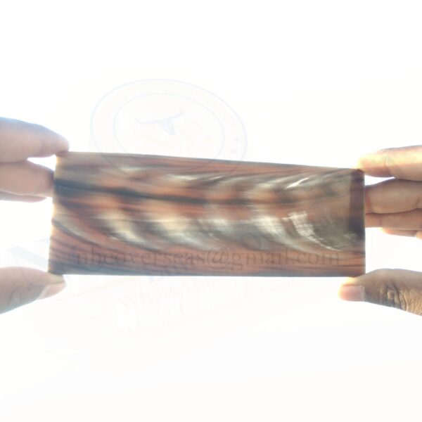 Horn Optical Plate (COLOUR WITH WHITE STREAKS) AND FISH PATTERN - Image 3