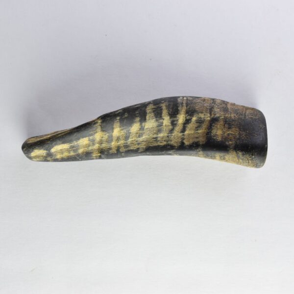 Natural Goat Horn Dog Chew – Healthy & Long-Lasting Treat - Image 3
