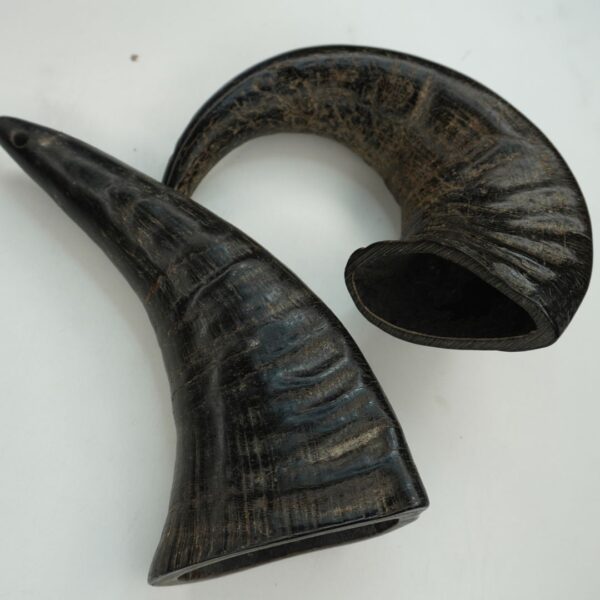 Natural Buffalo Horn Dog Chew – Long-Lasting & Healthy Treat for Dogs - Image 3