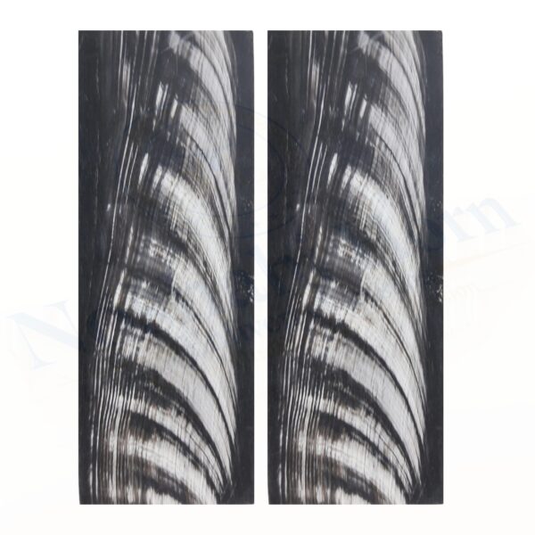 Horn Optical Plate (Black With White Streaks) - Image 5