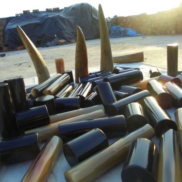 Buffalo Horn Roll – Premium Material for Knife Handles & Custom Crafting - Image 2
