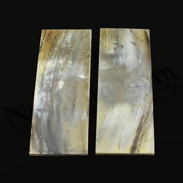 Horn Optical Plate (AFRICAN WHITE) - Image 4