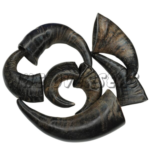Buffalo Horn Large Size - Image 4