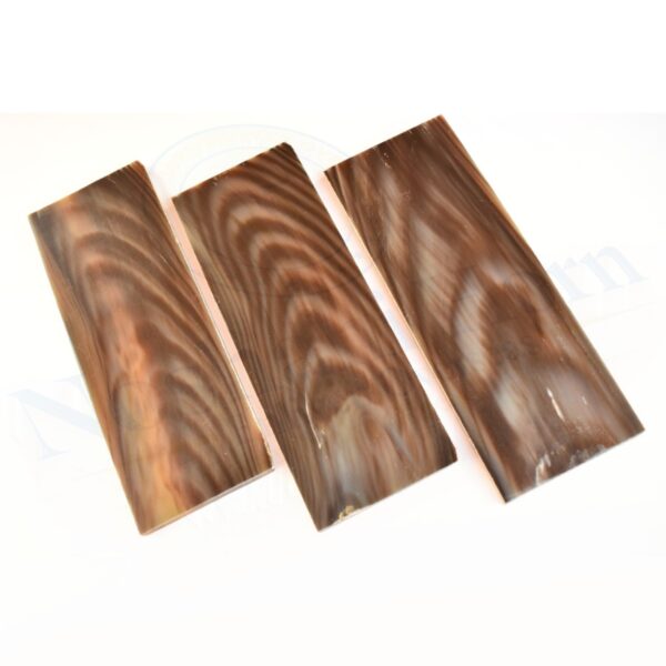 Horn Optical Plate (COLOUR WITH WHITE STREAKS) AND FISH PATTERN - Image 5