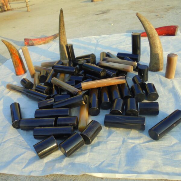 Horn Roll – Authentic Buffalo Horn for Knives, Tools & Handcrafted Creations - Image 3