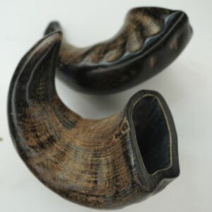 Natural Buffalo Horn Dog Chew – Long-Lasting & Healthy Treat for Dogs
