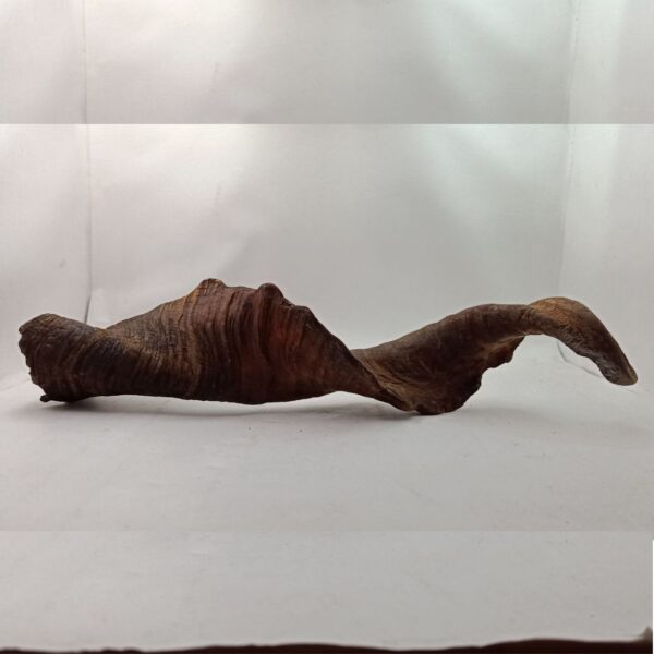 Natural Goat Horn Dog Chew – Healthy & Long-Lasting Treat - Image 6