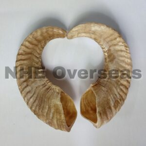 Natural Ram/Sheep Horn Dog Chew – Tough, Healthy & Long-Lasting Treat