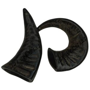 Buffalo Horn Medium Size