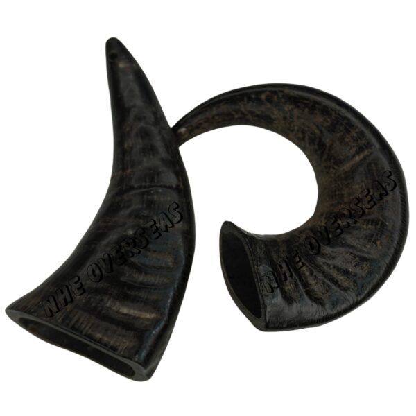 Buffalo Horn Medium Size