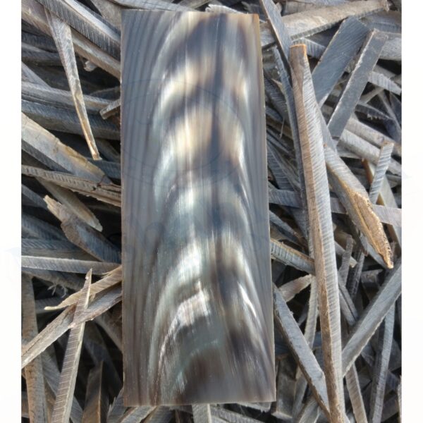 Horn Optical Plate (COLOUR WITH WHITE STREAKS) AND FISH PATTERN - Image 6