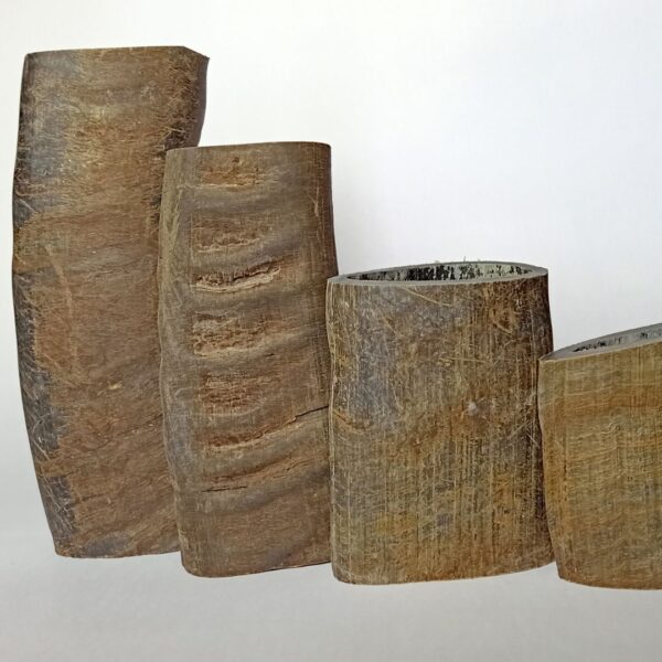 Buffalo Horn Tuffie Cut Dog Chew - Image 3