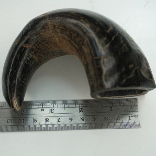 Natural Buffalo Horn Dog Chew – Long-Lasting & Healthy Treat for Dogs - Image 2