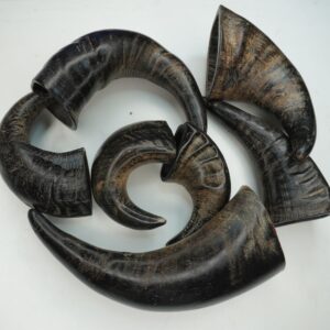 Natural Buffalo Horn Dog Chew – Long-Lasting & Healthy Treat for Dogs