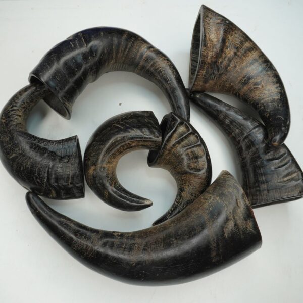 Natural Buffalo Horn Dog Chew – Long-Lasting & Healthy Treat for Dogs