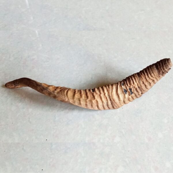 Natural Goat Horn – Healthy & Long-Lasting Dog Chew Treat - Image 2
