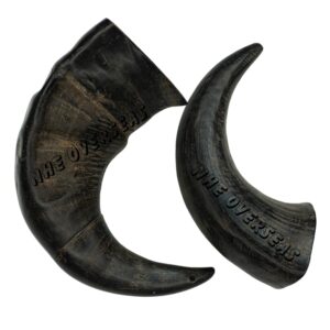 Buffalo Horn Large Size