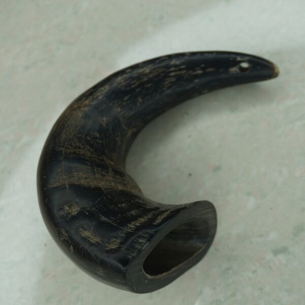 Natural Buffalo Horn Dog Chew – Long-Lasting & Healthy Treat for Dogs - Image 3