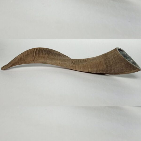 Natural Goat Horn – Healthy & Long-Lasting Dog Chew Treat - Image 3