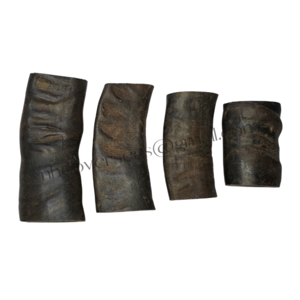 Buffalo Horn Tuffie Cut Dog Chew