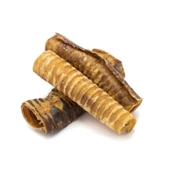 Buffalo Trachea - Image 2