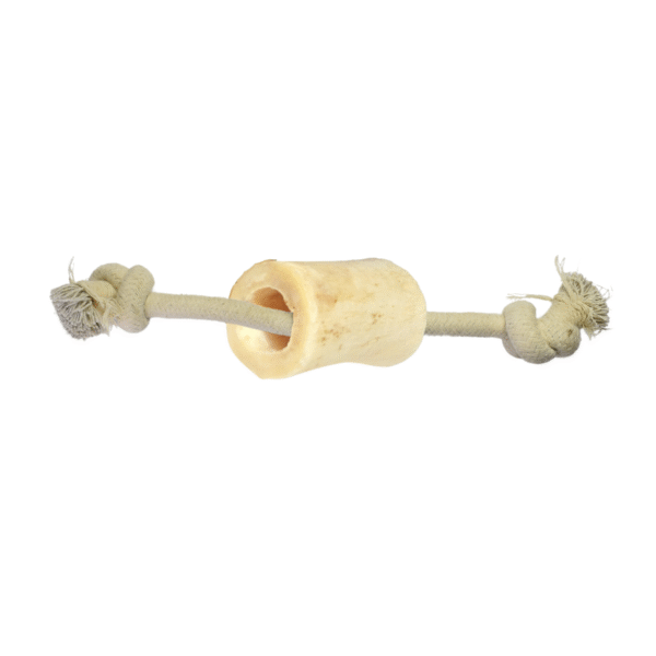 Small Rope Toy with Bone – Durable Chew & Tug Dog Toy