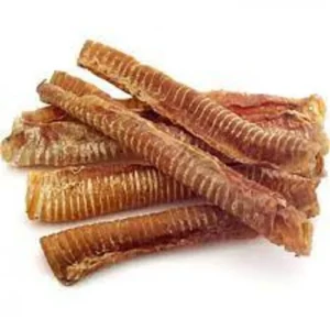 Buffalo Trachea