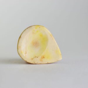 Bone Guitar Bridge Pins
