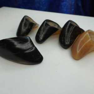 Buffalo/Cow Hooves