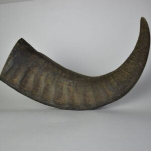 Buffalo Horn Dog Chews
