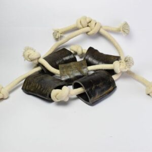 Buffalo Horn Rope Toys
