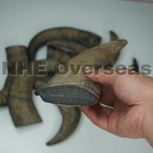 High Quality Buffalo Horn Solid Tips – Natural and Long-Lasting